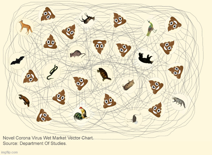 Novel Corona Virus Wet Market Vector Chart | image tagged in corona virus,covid-19,wet market,vector chart | made w/ Imgflip meme maker