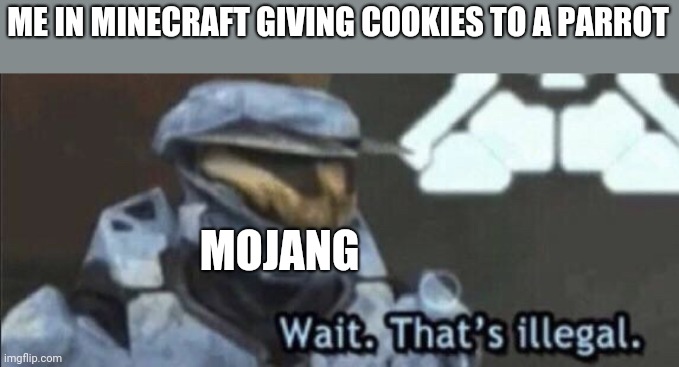 Wait that’s illegal | ME IN MINECRAFT GIVING COOKIES TO A PARROT; MOJANG | image tagged in wait thats illegal | made w/ Imgflip meme maker