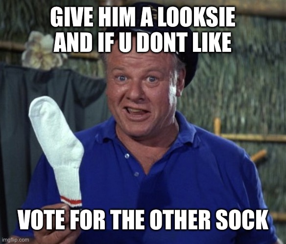 Skipper sock | GIVE HIM A LOOKSIE AND IF U DONT LIKE VOTE FOR THE OTHER SOCK | image tagged in skipper sock | made w/ Imgflip meme maker
