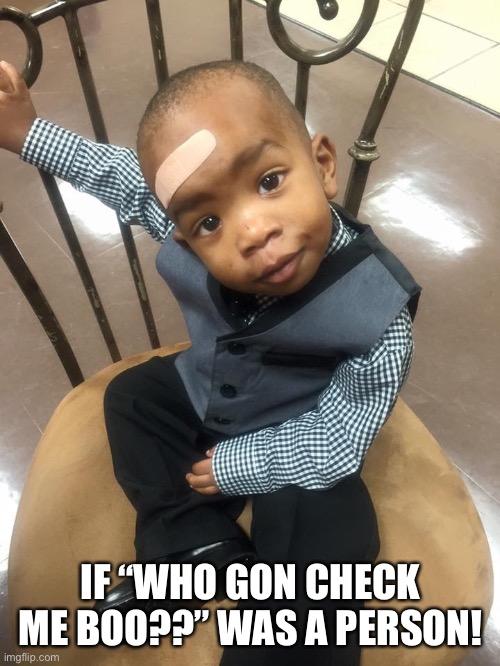 Current mood | IF “WHO GON CHECK ME BOO??” WAS A PERSON! | image tagged in current mood | made w/ Imgflip meme maker