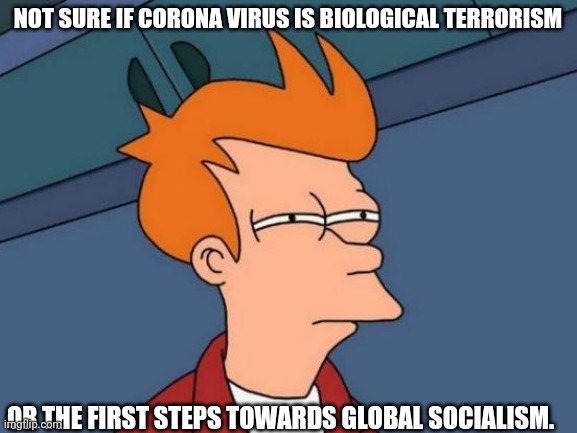 Da heck?! | NOT SURE IF CORONA VIRUS IS BIOLOGICAL TERRORISM; OR THE FIRST STEPS TOWARDS GLOBAL SOCIALISM. | image tagged in memes,futurama fry | made w/ Imgflip meme maker