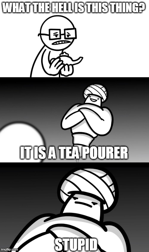 Tea pourer | WHAT THE HELL IS THIS THING? IT IS A TEA POURER; STUPID | image tagged in your wish is stupid | made w/ Imgflip meme maker