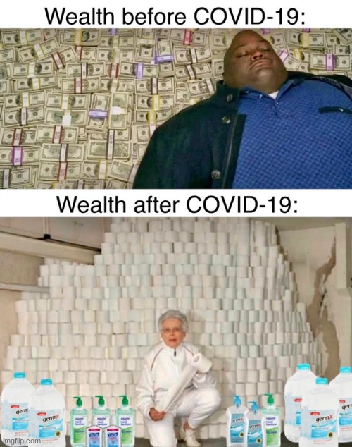 image tagged in coronavirus,meme,wealth | made w/ Imgflip meme maker