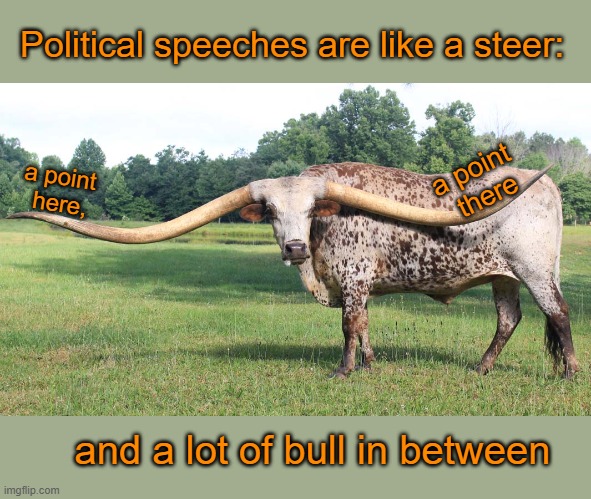 Like a steer | Political speeches are like a steer:; a point 
there; a point 
here, and a lot of bull in between | image tagged in politics | made w/ Imgflip meme maker