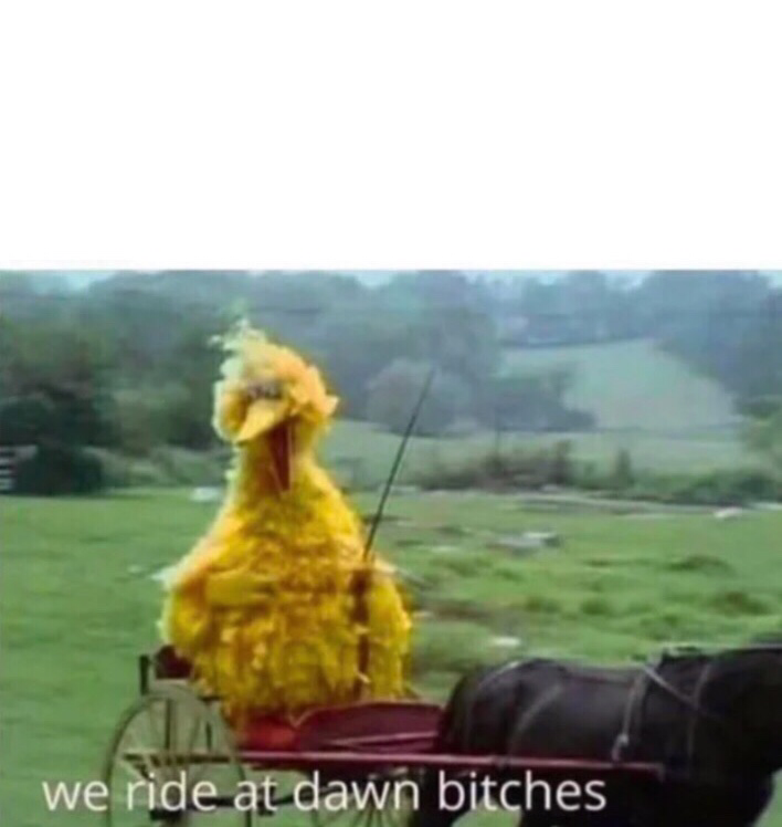 Bird Bird we ride at dawn Blank Meme Template
