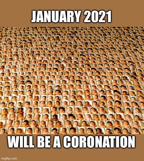 JANUARY 2021; WILL BE A CORONATION | image tagged in coronavirus | made w/ Imgflip meme maker