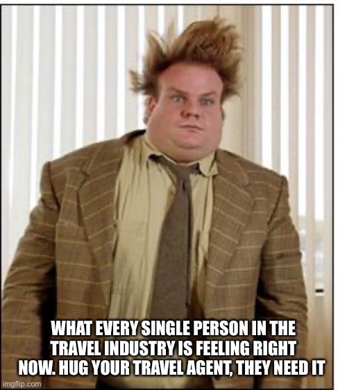 Chris Farley Hair | WHAT EVERY SINGLE PERSON IN THE TRAVEL INDUSTRY IS FEELING RIGHT NOW. HUG YOUR TRAVEL AGENT, THEY NEED IT | image tagged in chris farley hair | made w/ Imgflip meme maker