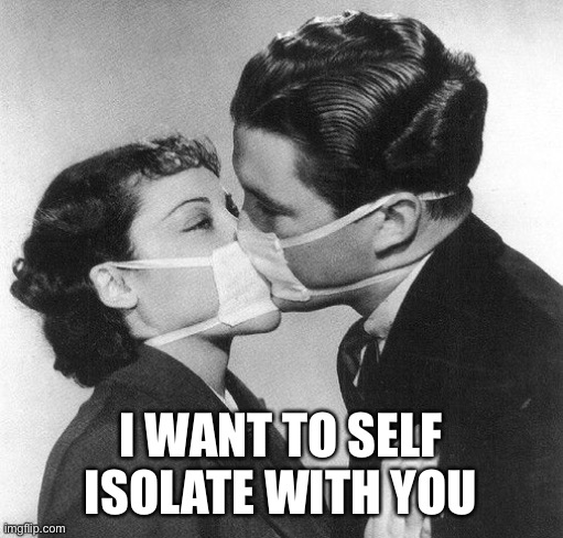 Coronavirus self isolation dreams | I WANT TO SELF ISOLATE WITH YOU | image tagged in coronavirus | made w/ Imgflip meme maker