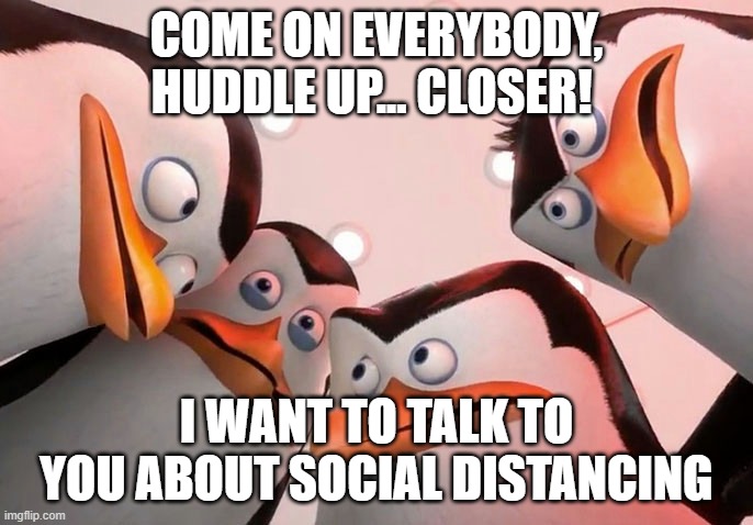 At work | COME ON EVERYBODY, HUDDLE UP... CLOSER! I WANT TO TALK TO YOU ABOUT SOCIAL DISTANCING | image tagged in penguins huddle giraffe,covid-19,coronavirus,corona virus | made w/ Imgflip meme maker