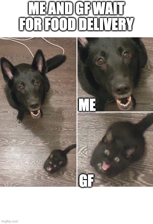 ME AND GF WAIT FOR FOOD DELIVERY; ME; GF | image tagged in food,animals,meme | made w/ Imgflip meme maker