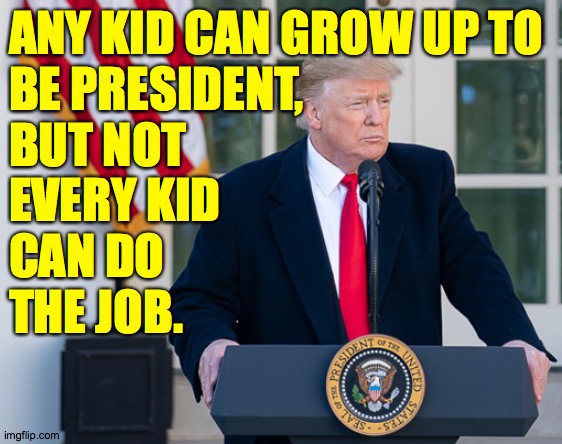 ANY KID CAN GROW UP TO
BE PRESIDENT,
BUT NOT
EVERY KID
CAN DO
THE JOB. | image tagged in memes,next,nice suit | made w/ Imgflip meme maker