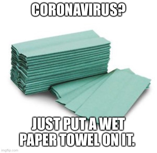 Wet Paper Towel | CORONAVIRUS? JUST PUT A WET PAPER TOWEL ON IT. | image tagged in wet paper towel,primary school,uk,coronavirus,growing up in britain,dinner ladies | made w/ Imgflip meme maker