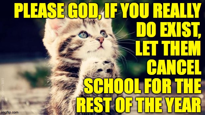 Praying cat | PLEASE GOD, IF YOU REALLY
DO EXIST,
LET THEM
CANCEL
SCHOOL FOR THE
REST OF THE YEAR | image tagged in praying cat,memes,school's out | made w/ Imgflip meme maker