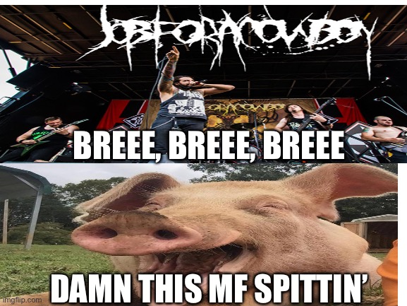 Job For a Cowboy Spittin’ | BREEE, BREEE, BREEE; DAMN THIS MF SPITTIN’ | image tagged in metal,music,scream,cowboy,memes,funny memes | made w/ Imgflip meme maker