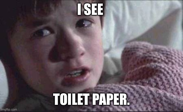 I See Dead People Meme | I SEE; TOILET PAPER. | image tagged in memes,i see dead people | made w/ Imgflip meme maker
