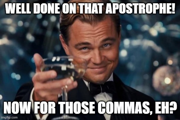 Leonardo Dicaprio Cheers Meme | WELL DONE ON THAT APOSTROPHE! NOW FOR THOSE COMMAS, EH? | image tagged in memes,leonardo dicaprio cheers | made w/ Imgflip meme maker