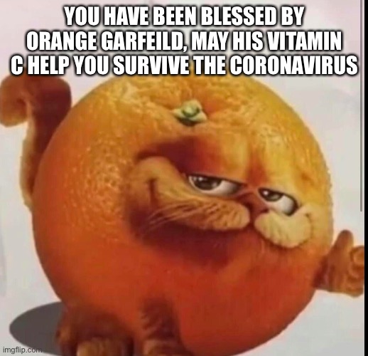 Yeet | YOU HAVE BEEN BLESSED BY ORANGE GARFIELD, MAY HIS VITAMIN C HELP YOU SURVIVE THE CORONAVIRUS | image tagged in coronavirus | made w/ Imgflip meme maker