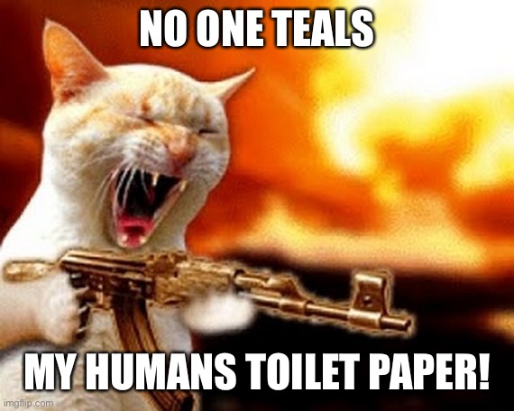 machine gun cat | NO ONE TEALS; MY HUMANS TOILET PAPER! | image tagged in machine gun cat | made w/ Imgflip meme maker
