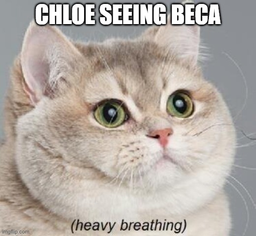 Heavy Breathing Cat | CHLOE SEEING BECA | image tagged in memes,heavy breathing cat | made w/ Imgflip meme maker
