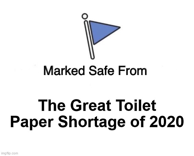 The Great Toilet Paper Shortage of 2020 | The Great Toilet Paper Shortage of 2020 | image tagged in marked safe from,toilet paper | made w/ Imgflip meme maker