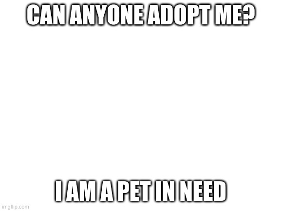 Blank White Template | CAN ANYONE ADOPT ME? I AM A PET IN NEED | image tagged in blank white template | made w/ Imgflip meme maker