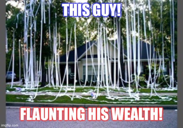 Rich folks....smh! | THIS GUY! FLAUNTING HIS WEALTH! | image tagged in toilet paper | made w/ Imgflip meme maker