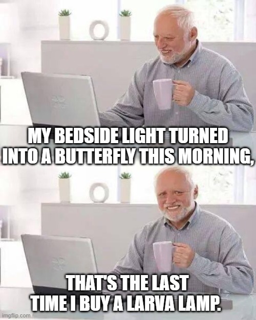 Hide the Pain Harold | MY BEDSIDE LIGHT TURNED INTO A BUTTERFLY THIS MORNING, THAT'S THE LAST TIME I BUY A LARVA LAMP. | image tagged in memes,hide the pain harold | made w/ Imgflip meme maker