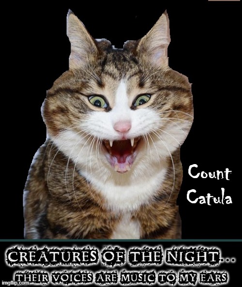 I Vant to Suck Your Catnip | Count Catula; CREATURES OF THE NIGHT... THEIR VOICES ARE MUSIC TO MY EARS | image tagged in vince vance,count dracula,cats,vampires,fangs,catnip | made w/ Imgflip meme maker