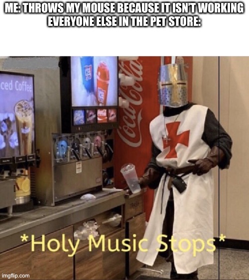 Holy music stops | ME: THROWS MY MOUSE BECAUSE IT ISN’T WORKING
EVERYONE ELSE IN THE PET STORE: | image tagged in holy music stops | made w/ Imgflip meme maker