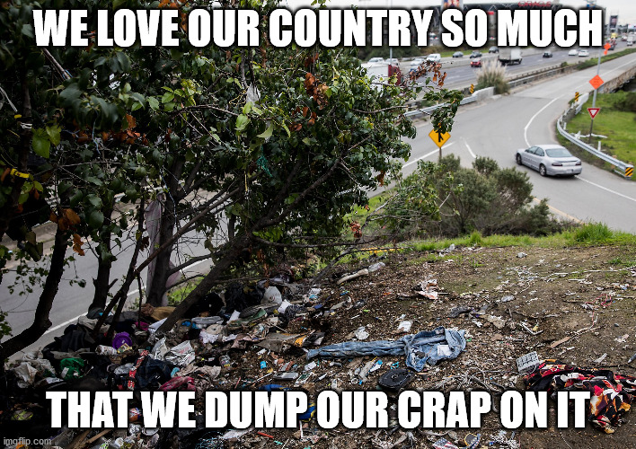 We don't really love our country do we? | WE LOVE OUR COUNTRY SO MUCH; THAT WE DUMP OUR CRAP ON IT | image tagged in memes | made w/ Imgflip meme maker