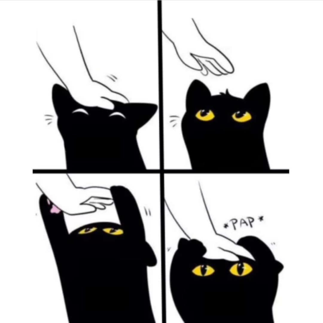 High Quality Black cat Blank Meme Template