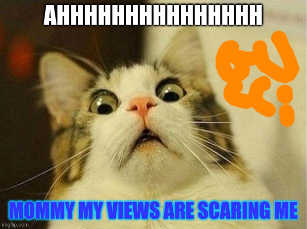 Scared Cat Meme | AHHHHHHHHHHHHHHH; MOMMY MY VIEWS ARE SCARING ME | image tagged in memes,scared cat | made w/ Imgflip meme maker