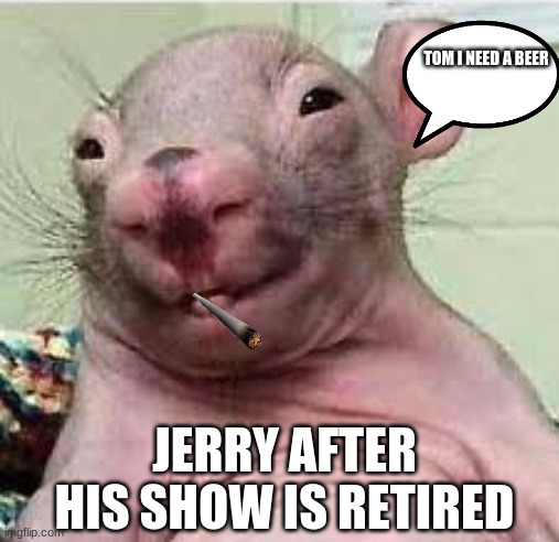 Drunk rat | TOM I NEED A BEER; JERRY AFTER HIS SHOW IS RETIRED | image tagged in drunk rat | made w/ Imgflip meme maker