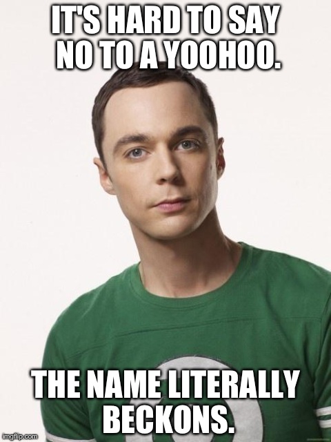 IT'S HARD TO SAY NO TO A YOOHOO. THE NAME LITERALLY BECKONS. | image tagged in sheldon transcending | made w/ Imgflip meme maker