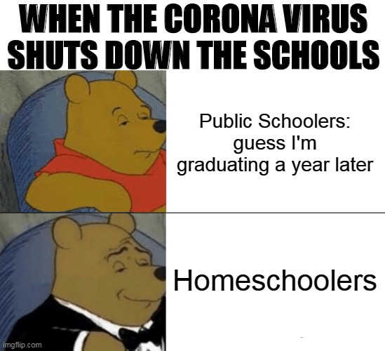 Tuxedo Winnie The Pooh | WHEN THE CORONA VIRUS SHUTS DOWN THE SCHOOLS; Public Schoolers: guess I'm graduating a year later; Homeschoolers | image tagged in memes,tuxedo winnie the pooh | made w/ Imgflip meme maker