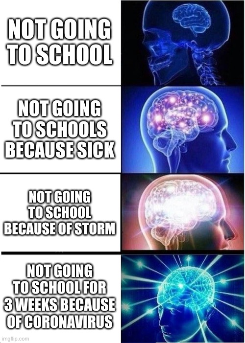 Expanding Brain Meme | NOT GOING TO SCHOOL; NOT GOING TO SCHOOLS BECAUSE SICK; NOT GOING TO SCHOOL BECAUSE OF STORM; NOT GOING TO SCHOOL FOR 3 WEEKS BECAUSE OF CORONAVIRUS | image tagged in memes,expanding brain,coronavirus | made w/ Imgflip meme maker