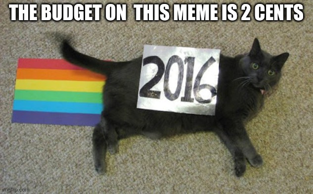 Nyan cat | THE BUDGET ON  THIS MEME IS 2 CENTS | image tagged in nyan cat | made w/ Imgflip meme maker