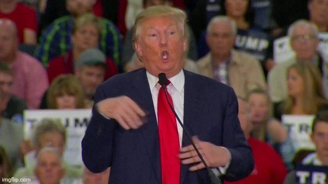 Trump Retard | image tagged in trump retard | made w/ Imgflip meme maker