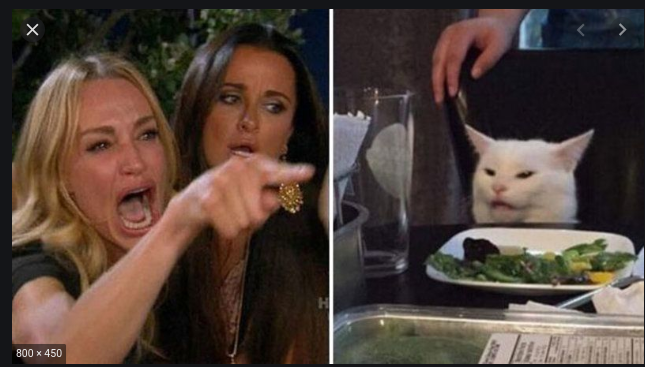 The best meme Blank Meme Template