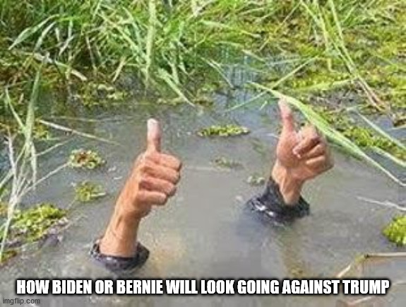 And they still wouldn't be convinced they're drowning. | HOW BIDEN OR BERNIE WILL LOOK GOING AGAINST TRUMP | image tagged in flooding thumbs up,joe biden,bernie sanders,president trump,trump 2020 | made w/ Imgflip meme maker