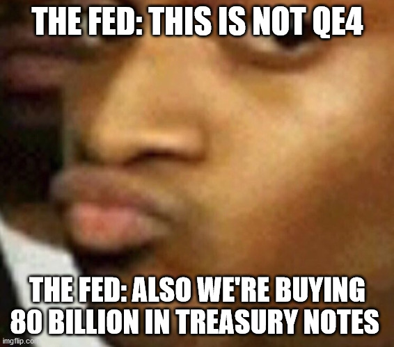 doubtful lips  | THE FED: THIS IS NOT QE4; THE FED: ALSO WE'RE BUYING 80 BILLION IN TREASURY NOTES | image tagged in doubtful lips | made w/ Imgflip meme maker