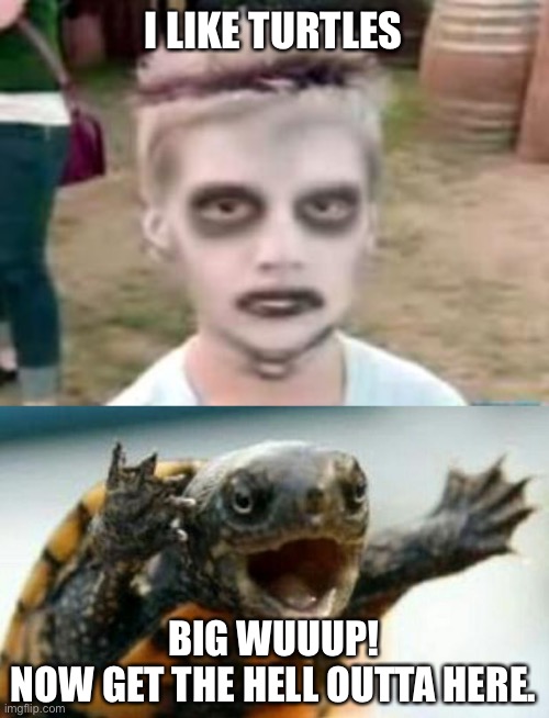I LIKE TURTLES; BIG WUUUP!
NOW GET THE HELL OUTTA HERE. | image tagged in i like turtles,turtle say what | made w/ Imgflip meme maker