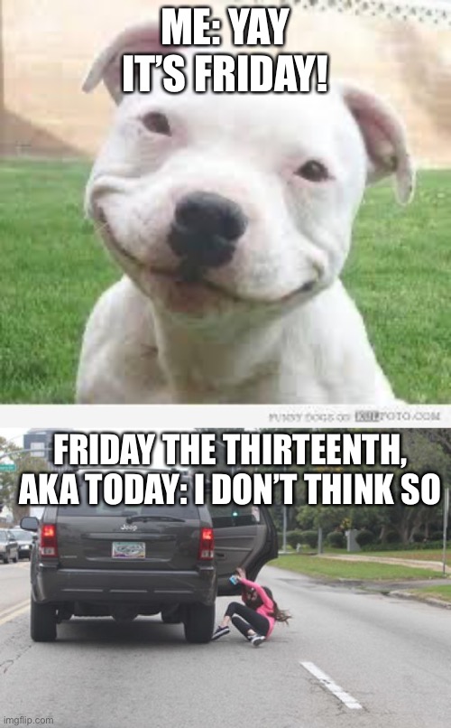 ME: YAY IT’S FRIDAY! FRIDAY THE THIRTEENTH, AKA TODAY: I DON’T THINK SO | image tagged in happy friday puppy,kicked out of car | made w/ Imgflip meme maker