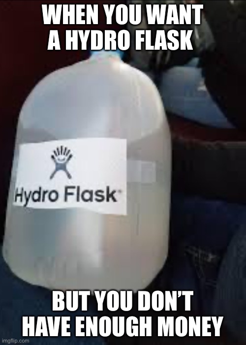 Hydro flask | WHEN YOU WANT A HYDRO FLASK; BUT YOU DON’T HAVE ENOUGH MONEY | image tagged in idk | made w/ Imgflip meme maker