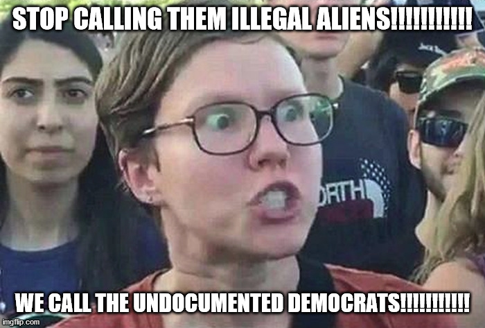 It should go without saying that illegals need to get booted out of here. | STOP CALLING THEM ILLEGAL ALIENS!!!!!!!!!!! WE CALL THE UNDOCUMENTED DEMOCRATS!!!!!!!!!!! | image tagged in triggered liberal,illegal immigrants,stupid liberals,deport | made w/ Imgflip meme maker