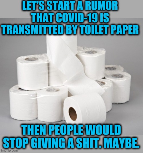 Just when you thought that the world couldn't get any more stupid | LET'S START A RUMOR THAT COVID-19 IS TRANSMITTED BY TOILET PAPER; THEN PEOPLE WOULD STOP GIVING A SHIT. MAYBE. | image tagged in toilet paper | made w/ Imgflip meme maker