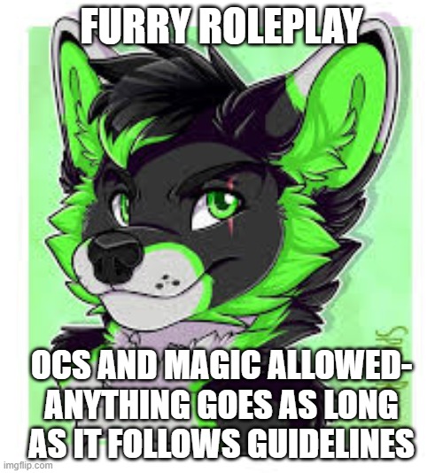 FURRY ROLEPLAY; OCS AND MAGIC ALLOWED- ANYTHING GOES AS LONG AS IT FOLLOWS GUIDELINES | image tagged in roleplaying,furry | made w/ Imgflip meme maker