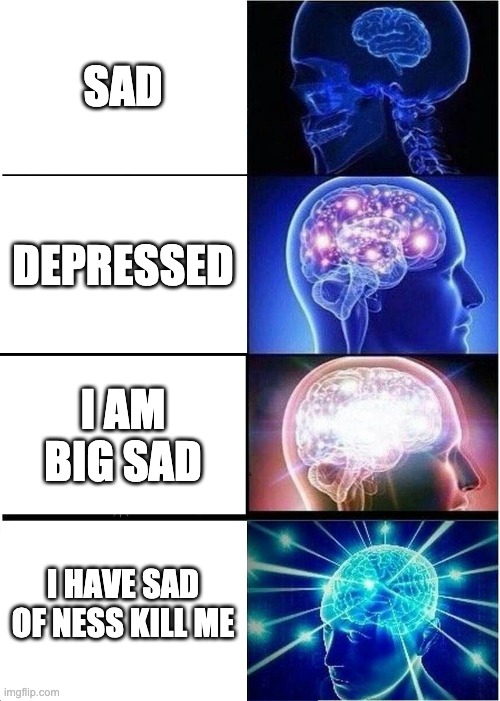 Expanding Brain | SAD; DEPRESSED; I AM BIG SAD; I HAVE SAD OF NESS KILL ME | image tagged in memes,expanding brain | made w/ Imgflip meme maker