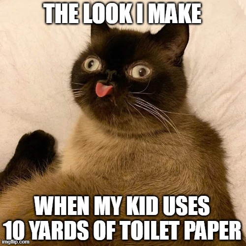THE LOOK I MAKE; WHEN MY KID USES 10 YARDS OF TOILET PAPER | image tagged in coronavirus,corona virus,virus,toilet paper,cats | made w/ Imgflip meme maker
