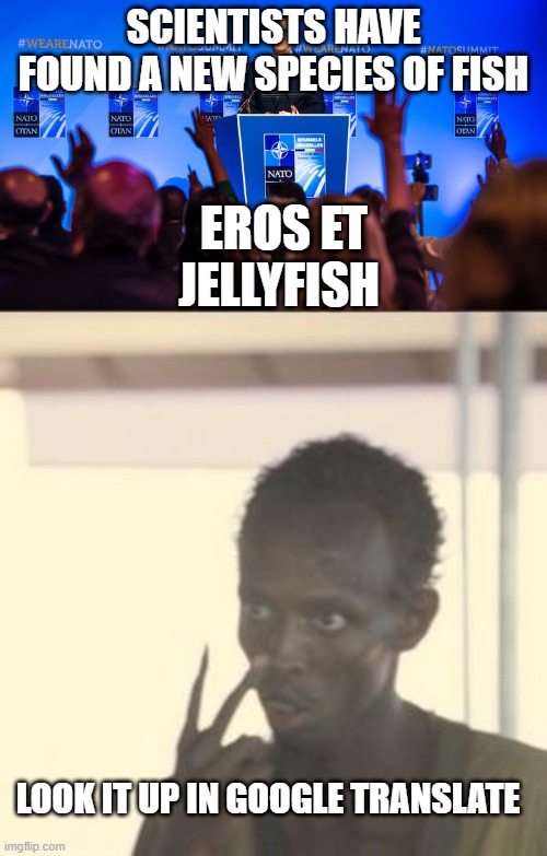 SCIENTISTS HAVE FOUND A NEW SPECIES OF FISH; EROS ET JELLYFISH; LOOK IT UP IN GOOGLE TRANSLATE | image tagged in memes,look at me | made w/ Imgflip meme maker
